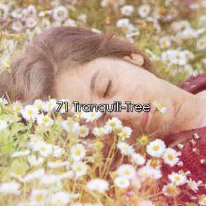 71 Tranquili Tree album cover