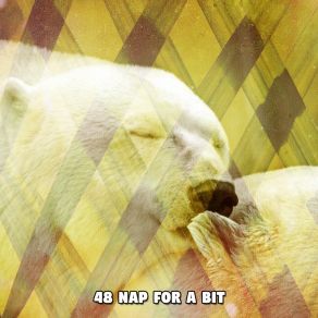 48 Nap For A Bit album cover