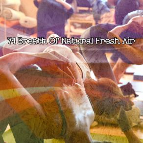 74 Breath Of Natural Fresh Air album cover