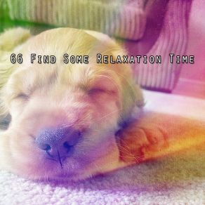 66 Find Some Relaxation Time album cover
