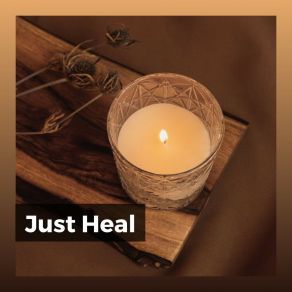 Just Heal album cover
