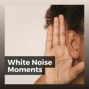 White Noise Moments album cover