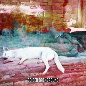 68 Bed Background album cover