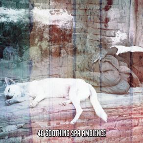 48 Soothing Spa Ambience album cover