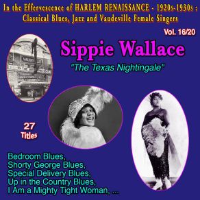 In The Effervescence Of Harlem Renaissance - 1920s-1930s: Classical Blues, Jazz & Vaudeville Female Singers Collection - 20 Vol (Vol. 16 / 20: Sippie Wallace " The Texas Nightingale " Up The Country Blues) album cover