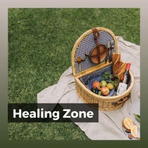 Healing Zone album cover