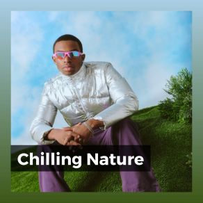 Chilling Nature album cover