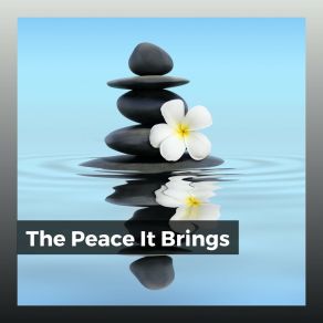 The Peace It Brings album cover