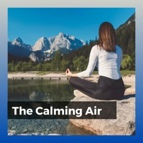 The Calming Air album cover