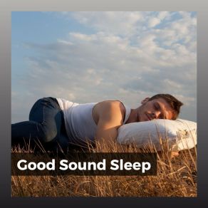 Good Sound Sle album cover