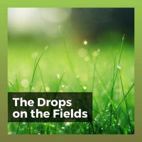 The Drops On The Fields album cover