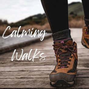 Calming Walks album cover