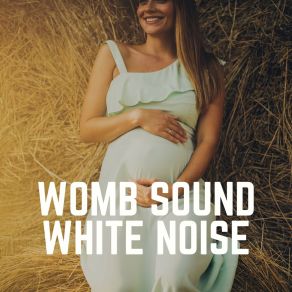 Womb Sound White Noise album cover
