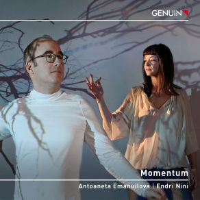 Momentum album cover