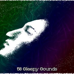 58 Sleepy Sounds album cover