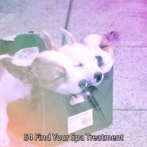 54 Find Your Spa Treatment album cover