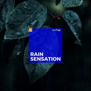 Rain Sensation album cover