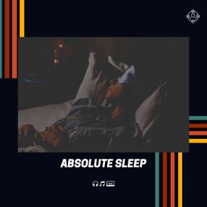 Absolute Sle album cover