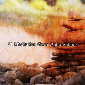 71 Meditation Guru Optimisations album cover