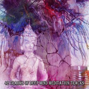 42 Tracks Of Deep Mind Meditation Tracks album cover