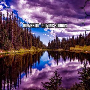 60 Mental Calming Sounds album cover