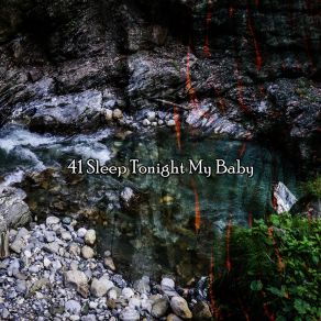41 Sleep Tonight My Baby album cover