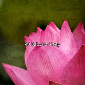 43 Baby To Sle album cover
