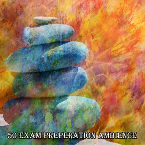50 Exam Preperation Ambience album cover