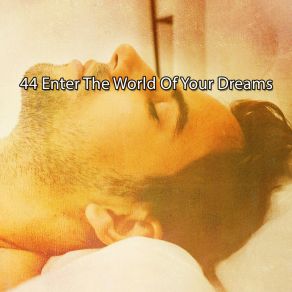 44 Enter The World Of Your Dreams album cover