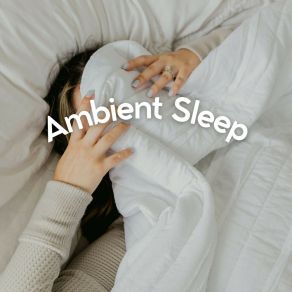 Ambient Sle album cover