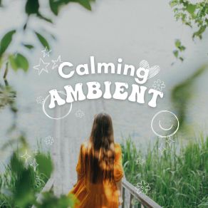 Calming Ambient album cover