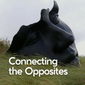 Connecting The Opposites album cover