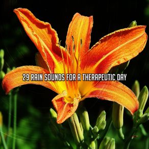 29 Rain Sounds For A Therapeutic Day album cover