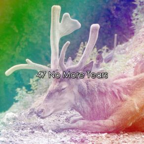 47 No More Tears album cover