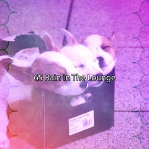 65 Rain In The Lounge album cover