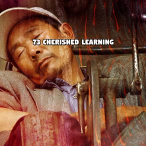 73 Cherished Learning album cover