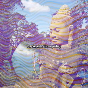 78 Serene Tranquility album cover