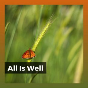 All Is Well album cover