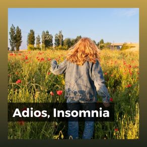 Adios, Insomnia album cover