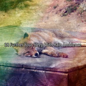 38 Further Your Sleep With Rain Ambience album cover