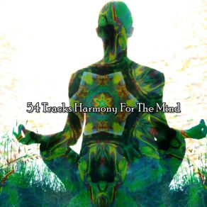 54 Tracks Harmony For The Mind album cover