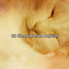 60 Sleep Dream Repeat album cover