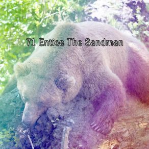 71 Entice The Sandman album cover