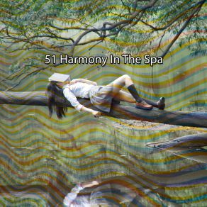 51 Harmony In The Spa album cover