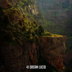 41 Dream Lucid album cover