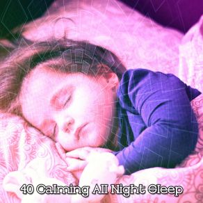 40 Calming All Night Sle album cover
