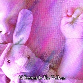 42 Resting In The Valleys album cover