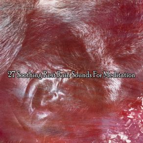 27 Soothing Rest Rain Sounds For Meditation album cover