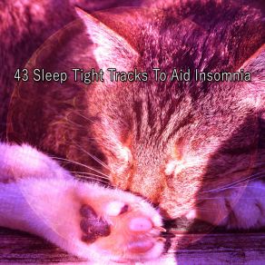 43 Sleep Tight Tracks To Aid Insomnia album cover