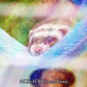 44 Bed Of Flowers Sle album cover